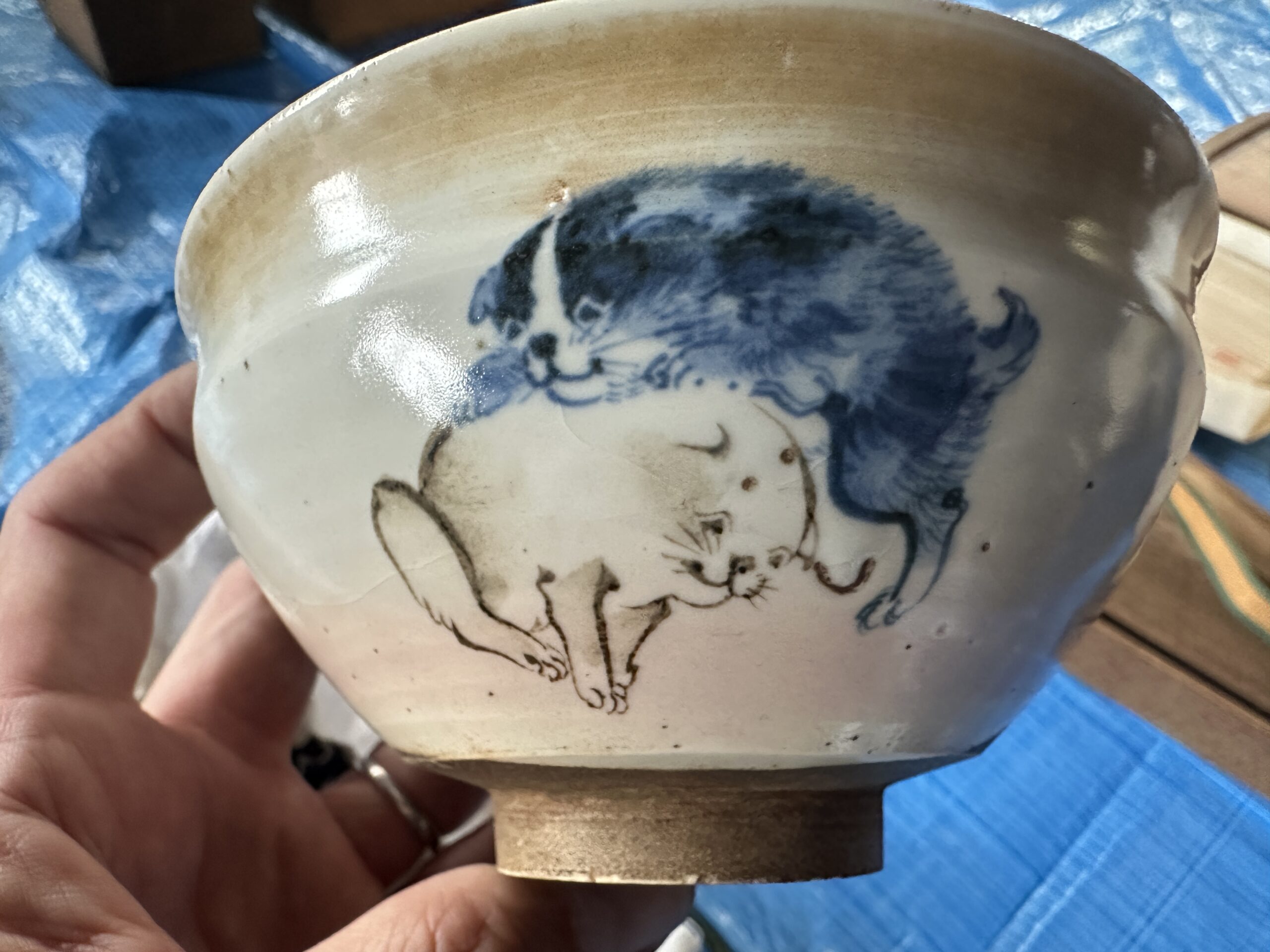 犬と猫が描かれた染付の茶碗